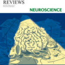 Tang YY, Holzel BK & Posner MI. The neuroscience of mindfulness meditation. Nature Reviews Neuroscience, 2015, 16, 213-225